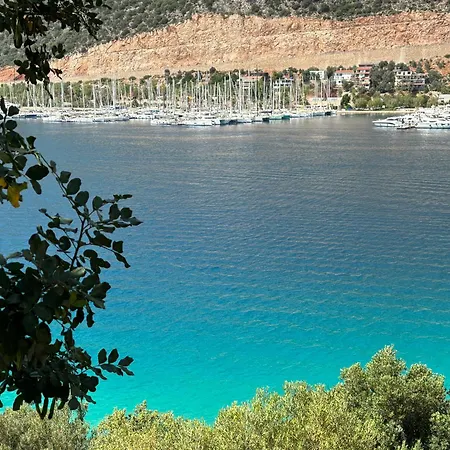 Villammiss1 * Yesilkoy (Mediterranean)